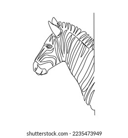 Zebra vector illustration drawn in line art style