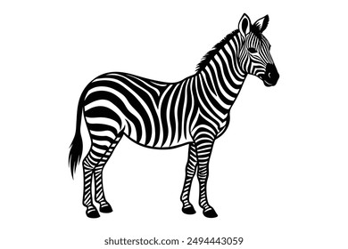 zebra vector illustration mascot, icon, characters,Holiday t shirt, black 