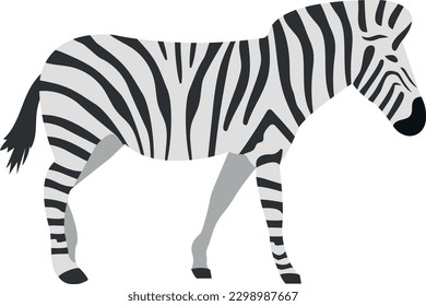 zebra Vector illustration on a transparent background. Premium quality symbols.  Icons for concept and graphic design.