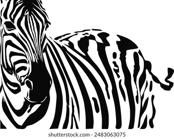 ZEBRA vector illustration on white background for tatoo, typography, t hirt, wall art, poster. Vector sketch.