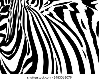 ZEBRA vector illustration on white background for tatoo, typography, t hirt, wall art, poster. Vector sketch.