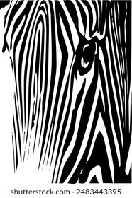 ZEBRA vector illustration on white background for tatoo, typography, t hirt, wall art, poster. Vector sketch.