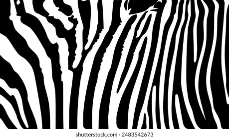 ZEBRA vector illustration on white background for tatoo, typography, t hirt, wall art, poster. Vector sketch.