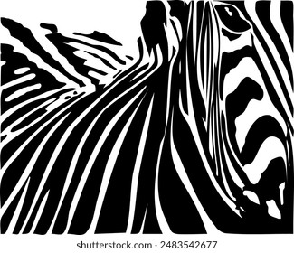 ZEBRA vector illustration on white background for tatoo, typography, t hirt, wall art, poster. Vector sketch.