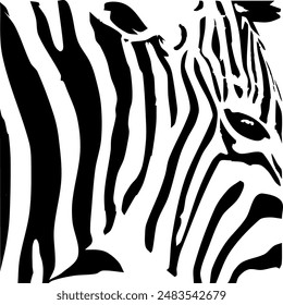 ZEBRA vector illustration on white background for tatoo, typography, t hirt, wall art, poster. Vector sketch.