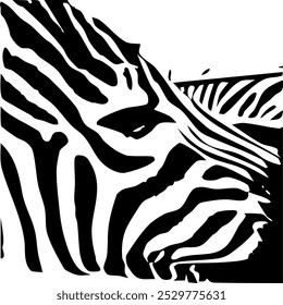 ZEBRA vector illustration on white background for tatoo, typography, t hirt, wall art, poster. Vector sketch.