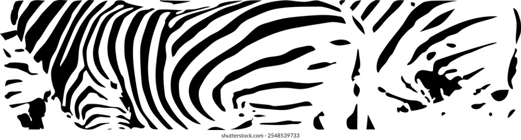 ZEBRA vector illustration on white background for tatoo, typography, t hirt, wall art, poster. Vector sketch.