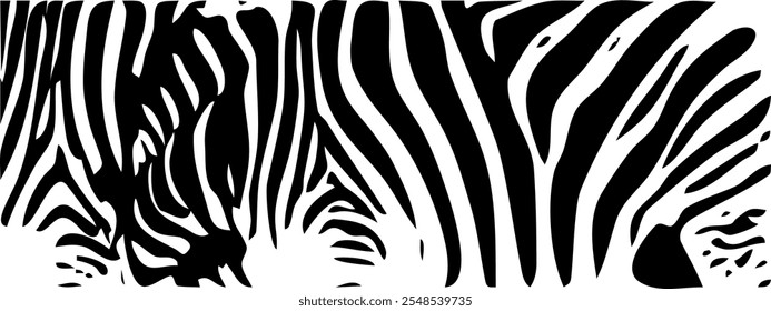 ZEBRA vector illustration on white background for tatoo, typography, t hirt, wall art, poster. Vector sketch.