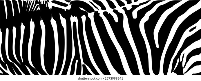 ZEBRA vector illustration on white background for tatoo, typography, t hirt, wall art, poster. Vector sketch.