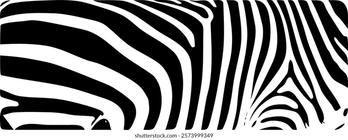 ZEBRA vector illustration on white background for tatoo, typography, t hirt, wall art, poster. Vector sketch.