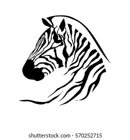 Zebra vector on a white background
