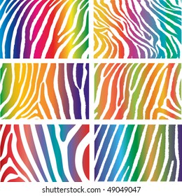 Zebra vector pack - rainbow skin pattern