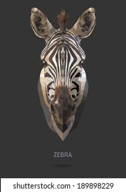 Zebra vector polygon geometric