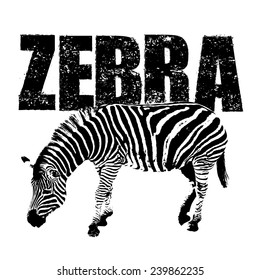zebra vector, rubber stamp