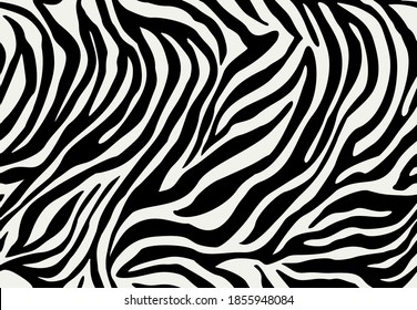 Zebra vector seamless pattern. Animal print