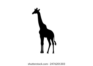 Zebra vector silhouette eps design