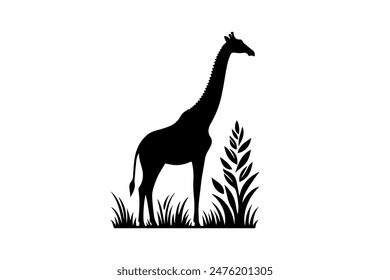 Zebra vector silhouette eps design