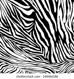 Zebra vector texture