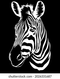 Zebra-Vektor. Wilde Tiere der Prärie, Zebra auf schwarzem Hintergrund. Zeichnung für T-Shirt