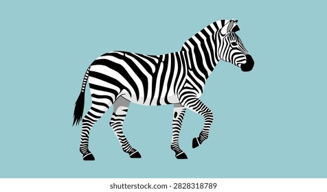 Zebra walking across plain against pale blue backdrop.