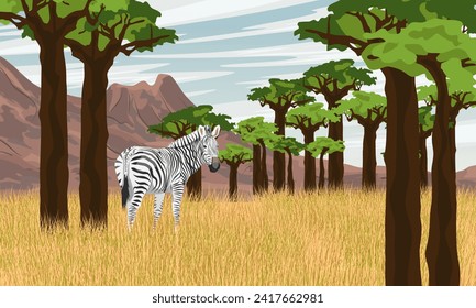 A zebra walks through a babobab grove at the foot of the mountains. Animals of Africa. Realistic vector landscape