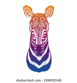 Zebra wearing vintage aviator leather helmet. Image in retro style. Flying club or motorcycle biker emblem. Vector illustration, print for tee shirt, badge logo patch