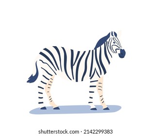 Zebra, Wild African Animal Isolated on White Background. Horse with Striped Pattern on Skin, Beautiful Herbivorous Hoofed Creature Side View, Zoo Park or Safari Fauna. Cartoon Vector Illustration