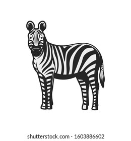 Zebra wild animal icon. Vector African zebra, safari hunt and zoo mammal