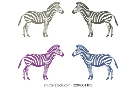Zebra Wild Animal Vector Illustration
