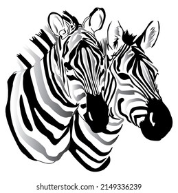 zebra and wild love illustration desing