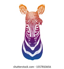 Zebra. Wild pirate or biker. Vector animal portrait. Sailor, motorcyclist. Print for children clothing, tee. Kids fashion.