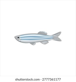 zebrafish, zebra danio, Danio rerio, vector drawing aquarium fish isolated at white background, hand drawn illustration