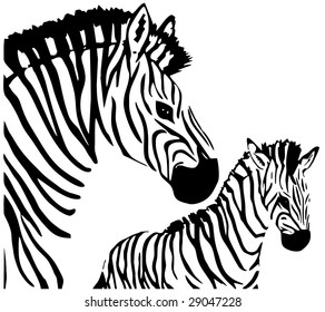 Zebras