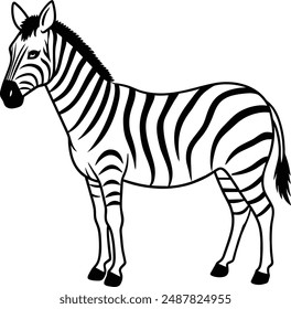 Zebras are African equids known for their distinctive black-and-white striped coats. They belong to the genus Equus, which also includes horses and donkeys. 