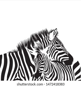Zebras animal illustration, nature conservation vector black and white