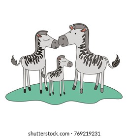 zebras couple and foal over grass in colorful silhouette on white background