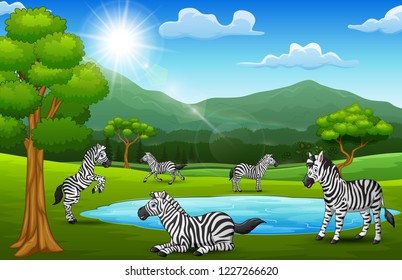 The zebras are enjoying nature in beautiful fields