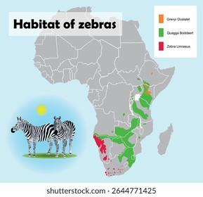 Mapa do habitat de Zebras. Ilustração de arte vetorial de educação