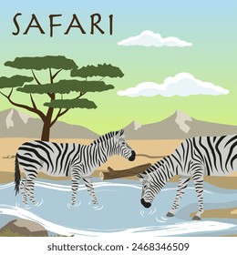 Zebras on the background of African nature. Nature safari. Safari vector. EPS 10.