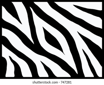 zebra`s pattern