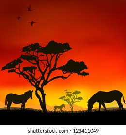The zebras in the savanna at sunset. Vector.