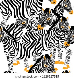 Zebra's seamless pattern. Vector illustration of zebras on white background