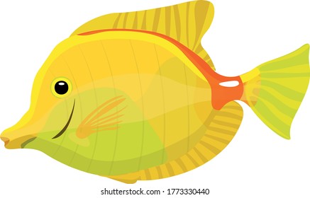 Zebrasoma small fish on a white background, orange and yellow tones are used. Zebrasoma yellow, for a home aquarium - a very beautiful fish.