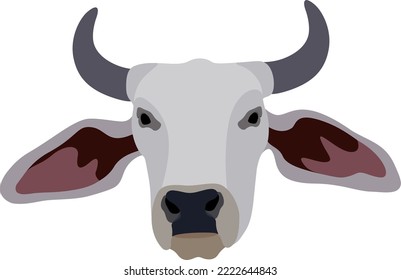 Zebu bull. Brahman cattle. Vector illustration. White male Indian cow. A symbol for Indian religious festivals