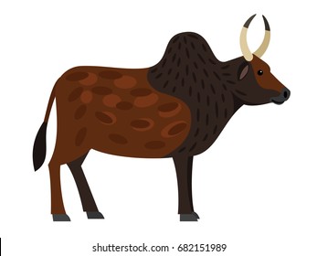 Zebu Images Photos Et Images Vectorielles De Stock Shutterstock