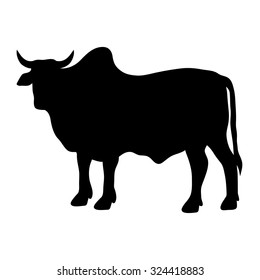 Zebu Cow Images Stock Photos Vectors Shutterstock