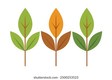 Zelkova Leaf Color Art Detailed Study of Zelkova Leaf Patterns