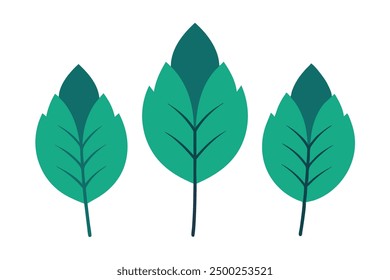 Zelkova Leaf Color Art Elegant Depiction of Zelkova Leaf Design