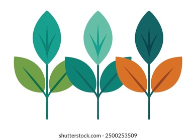 Zelkova Leaf Color Art Subtle Palette Highlighting Zelkova Leaf Beauty