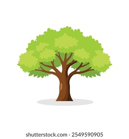 
Zelkova tree isolated flat vector illustration on white background